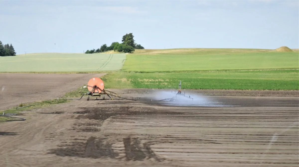 Vandet bliver så pumpet ud på marken igen. Det er med til at holde omkostningerne ved produktionen af blandt andet rucola og spinat nede. 
