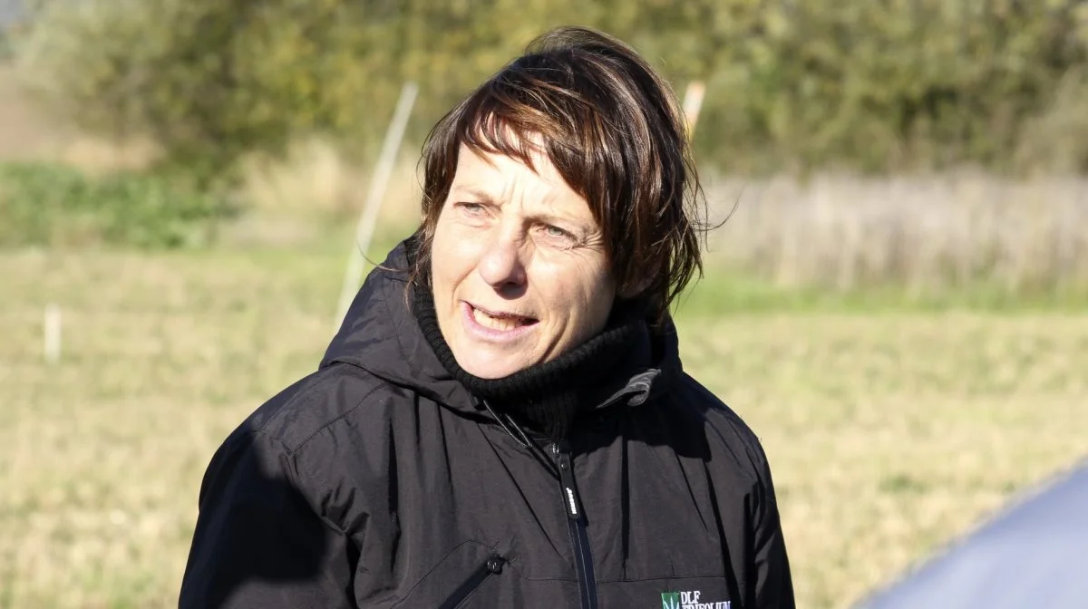 - Vi svinger virkelig meget i år. Det går fra 0 til meget i indeks, hvis det er uensartede marker. Og det gælder for både den lette og den rigtigt svære jord, at udbyttet ikke giver, hvad det skulle, siger Birthe Kjærsgaard, der er avlschef i Region Øst hos DLF.