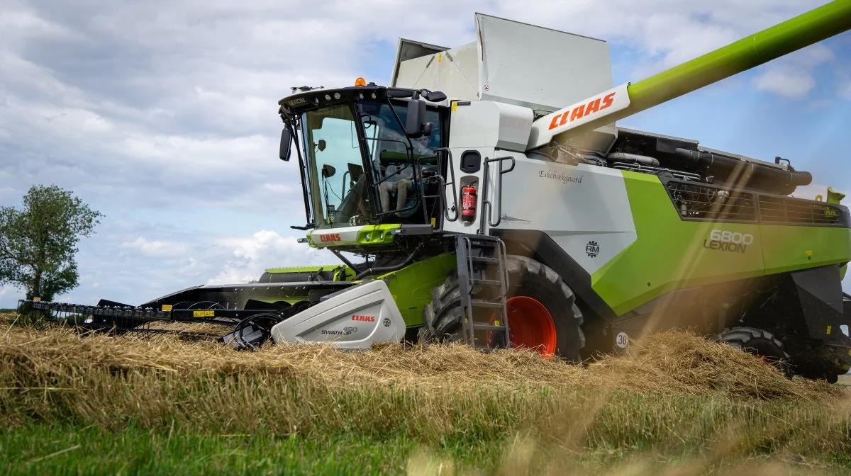 To Claas Lexion-mejetærskere kører igennem hundegræsset.