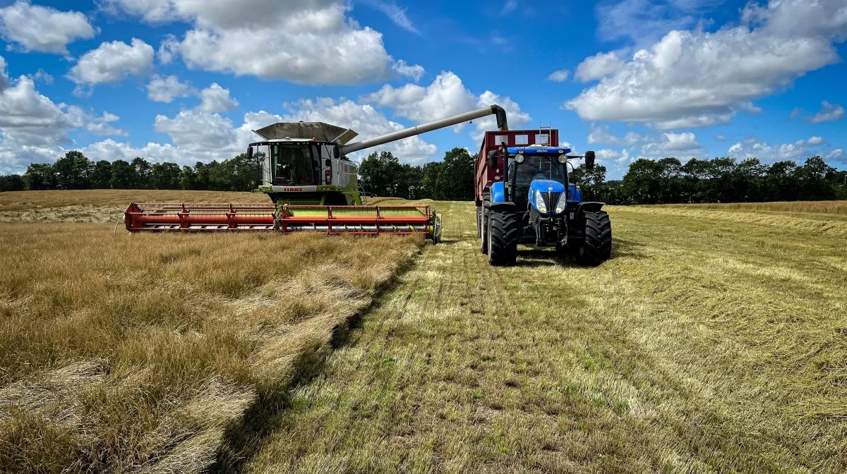 Onsdag høstede Christian Birkbak og medhjælperne alm. rajgræs for Agrio Farming. Foto: Christian Birkbak.