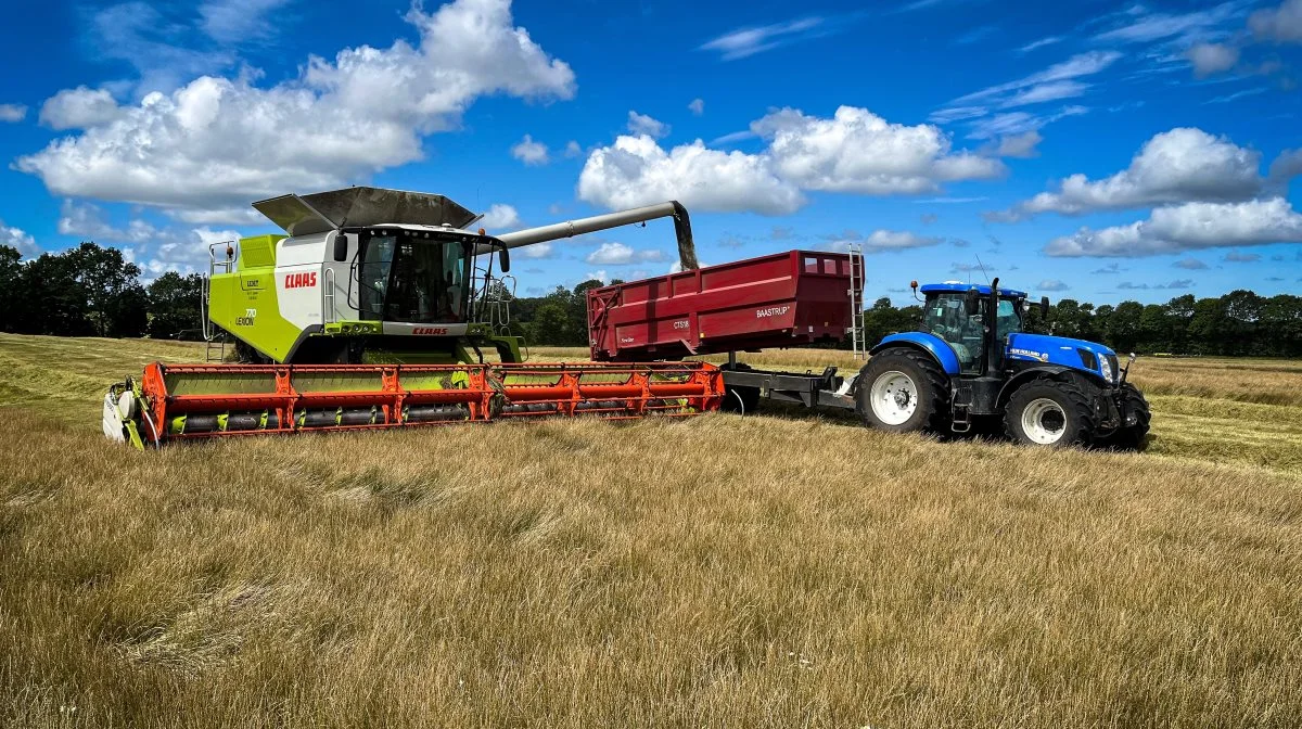 Onsdag høstede Christian Birkbak og medhjælperne alm. rajgræs for Agrio Farming. Foto: Christian Birkbak.