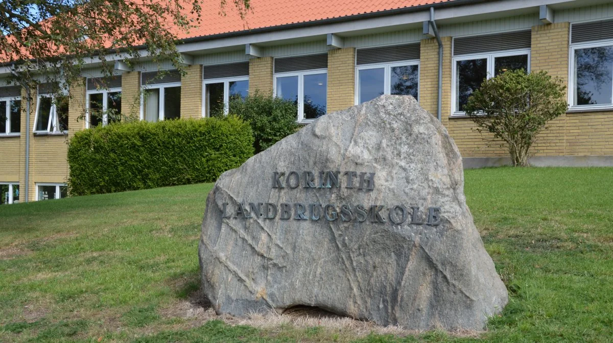 I 2023 er 21 procent flere elever startet på en landbrugsskole sammenlignet med 2021. Også på Dalum og Korinth Landbrugsskole har de oplevet fremgang. Arkivfoto: Camilla Bønløkke