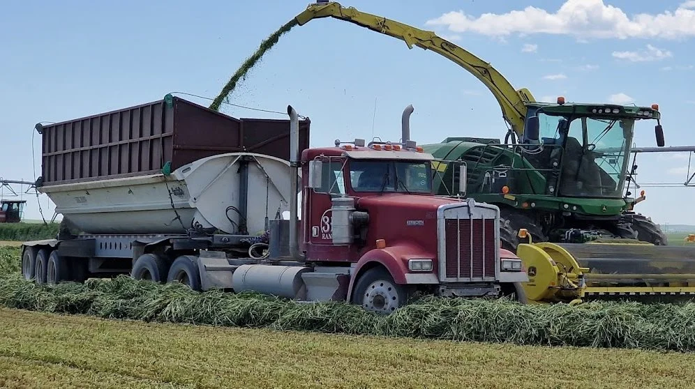 Kom med til høst af lucerne-helsæd i Idaho, USA, hvor Effektivt Landbrug netop har besøgt flere store kvægfarmere. Fotos: Jørgen P. Jensen