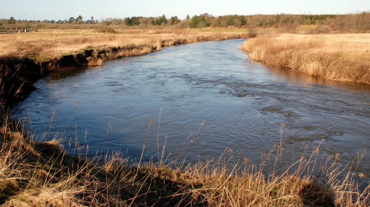 Aalborg Kommune ser stort på sine forpligtelser i sagen om Skovåen ved Hals-Ulsted, mener Agri Nord, der derfor nu indbringer sagen for miljøministeren. Åen på billedet er ikke den, sagen handler om. Arkivfoto