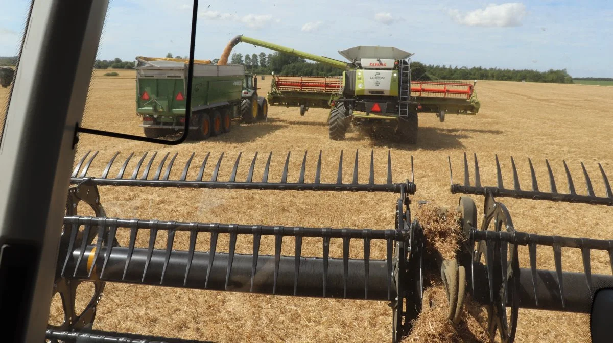 Hvis den nye og positive vejrudsigt holder, så kommer der fuld gang i høsten over hele Jylland i næste uge, lyder vurderingen fra Danish Agro. Arkivfoto: Jørgen P. Jensen