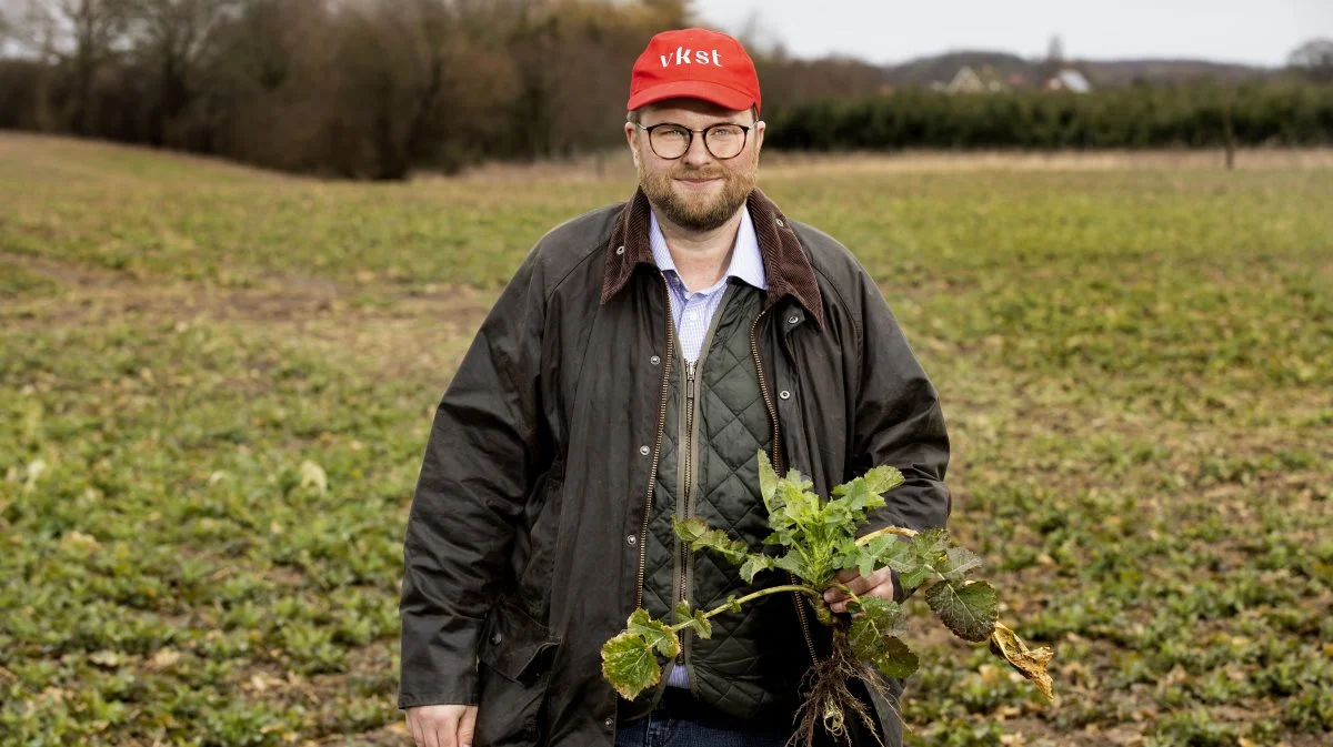 Kristian Bang Davidsen, planteavlskonsulent hos VKST på Lolland-Falster.