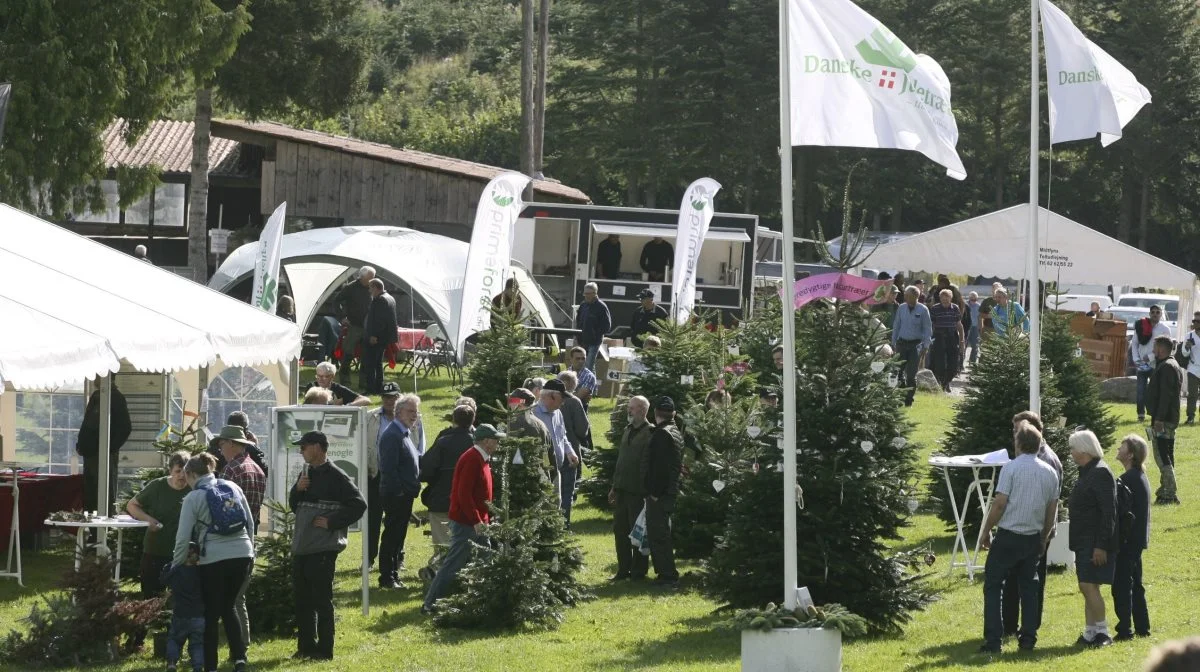 Både udstillere og gæster vil på torsdag opleve en mere komprimeret messe i Langesøskoven. Blandt andet vil Danske Juletræers store stand være rykket fra græsarealet ind i skoven. Arkivfoto: Erik Hansen