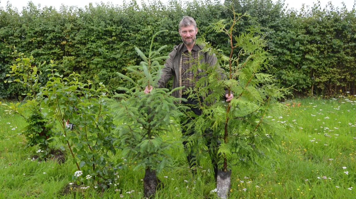 Ole Mogensen fra Sandmosegård ved Bogense er med virksomheden Put'n Grow ny spiller på markedet for kvalitetstræer. Fotos: Camilla Bønløkke