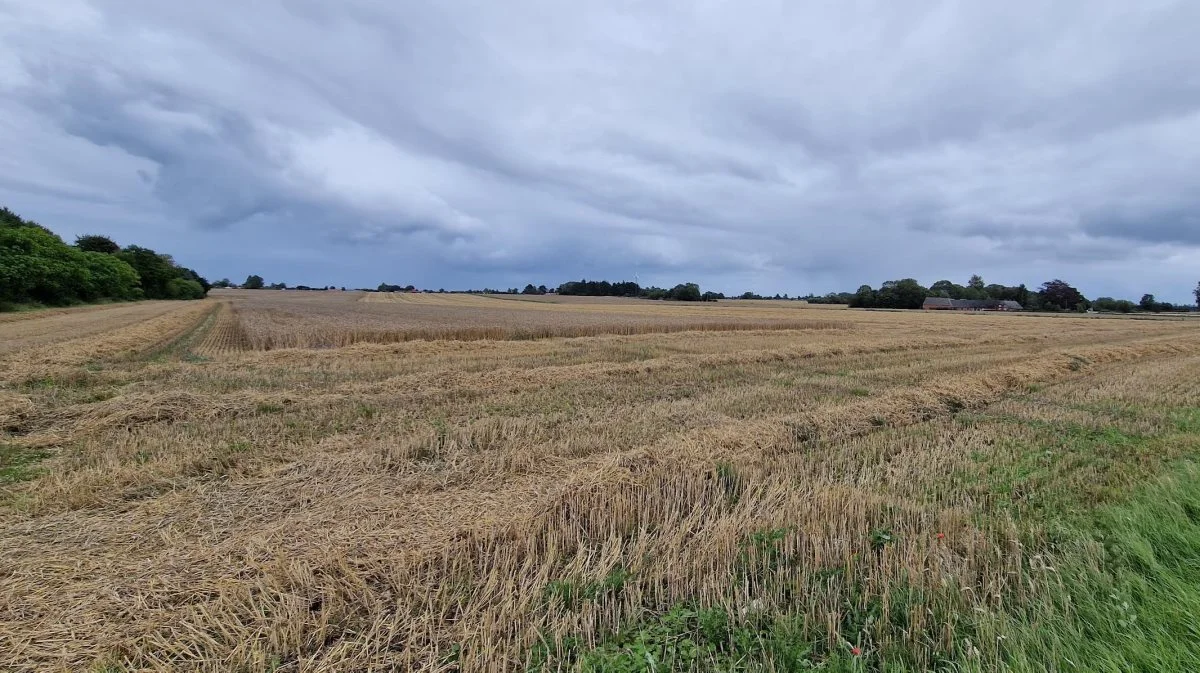 Onsdag middag blev der nået et par omgange i hveden, så stoppede regnen høst resten af dagen.