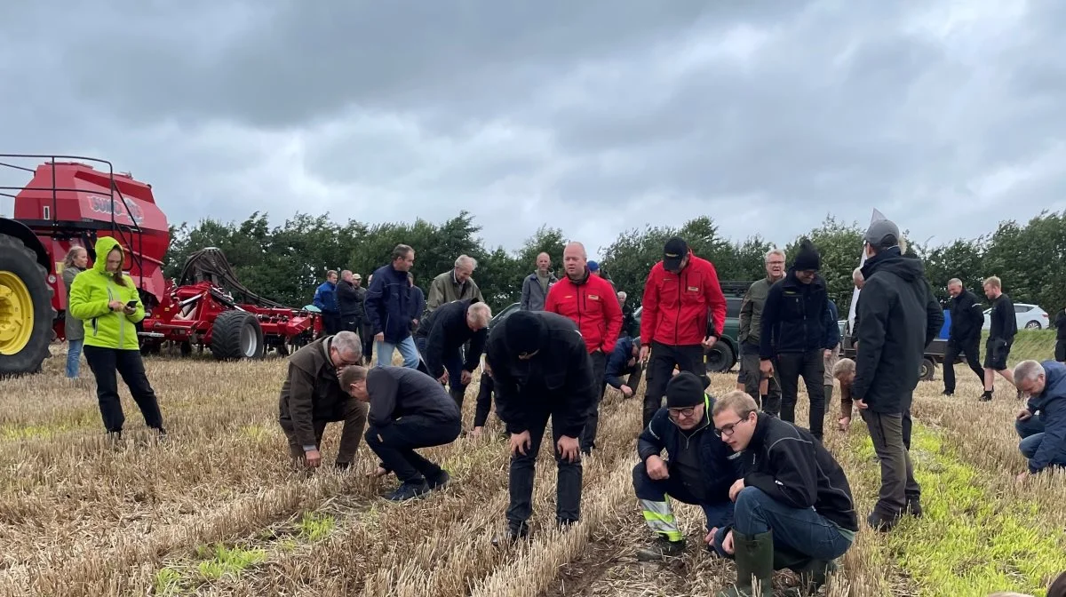 Der blev bogstaveligt talt gået i dybden ved mandagens sådemonstration, der samlede omkring 60-70 planteavlsfolk på »Ennergård« mellem Horsens og Brædstrup i det østjyske. Fotos: Jacob Lund-Larsen