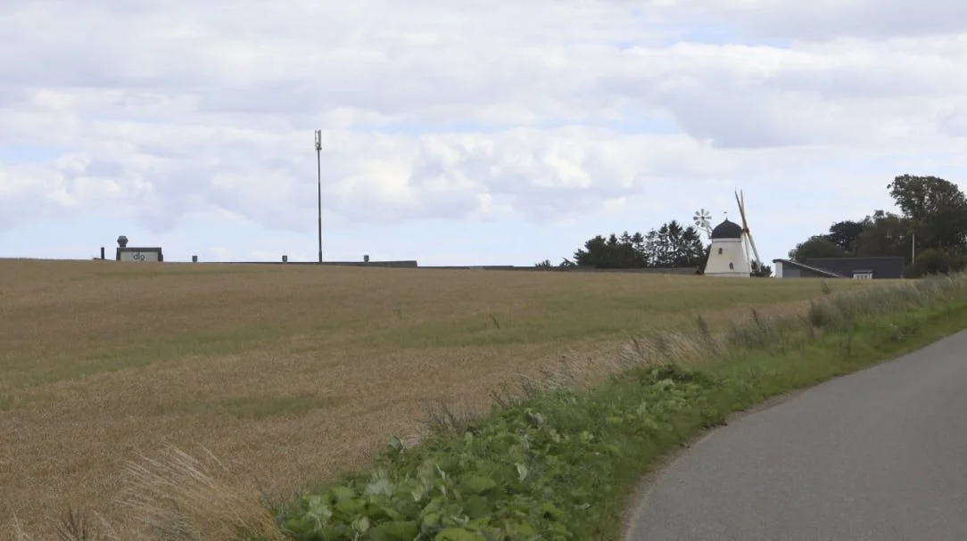 Efter tørken i maj og juni og de efterfølgende store regnmængder har der været gengroning i mange vårbygmarker, som denne med DLG’s afdeling i Ulbølle ved Svendborg i baggrunden. 

