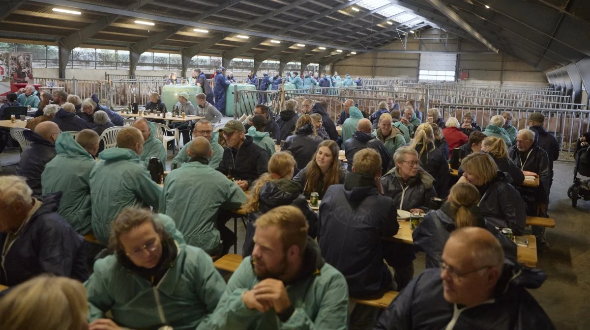 Ved Jersey Fyns grillaften på Bangsbo i Husby var næsten 200 deltagere, heriblandt også ansigter fra både Jylland og Sjælland. Fotos: Erik Hansen