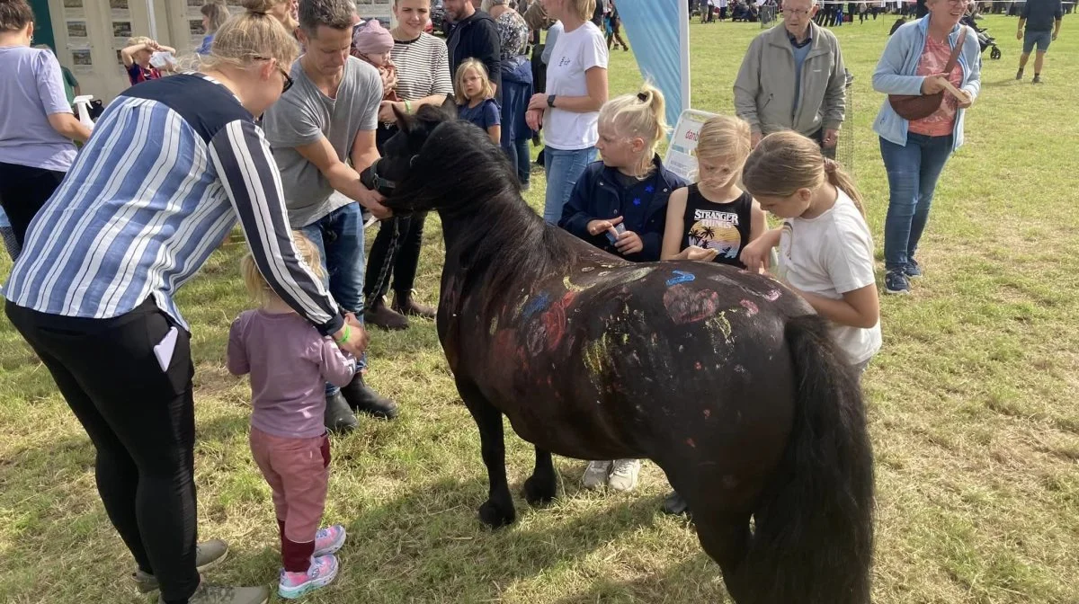 - Med sådan en opbakning vi har fra både Herning Kommune, sponsorere og frivillige, så er det sjovt at være med til at arrangere dyrskue, siger formand Erik Sørensen.