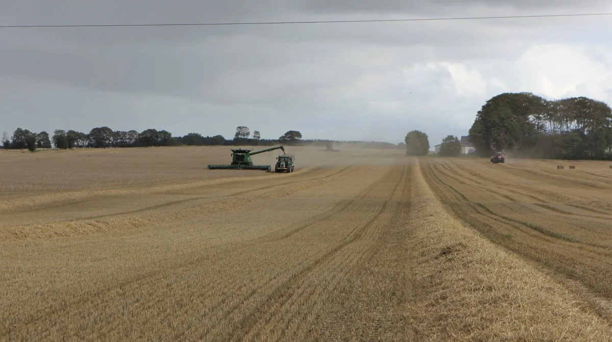 Der er næsten halvanden kilometer fra den ene ende af marken til den anden. Her får demomaskinen fra John Deere virkelig lov til at strække ben. Foto: Kasper Stougård 