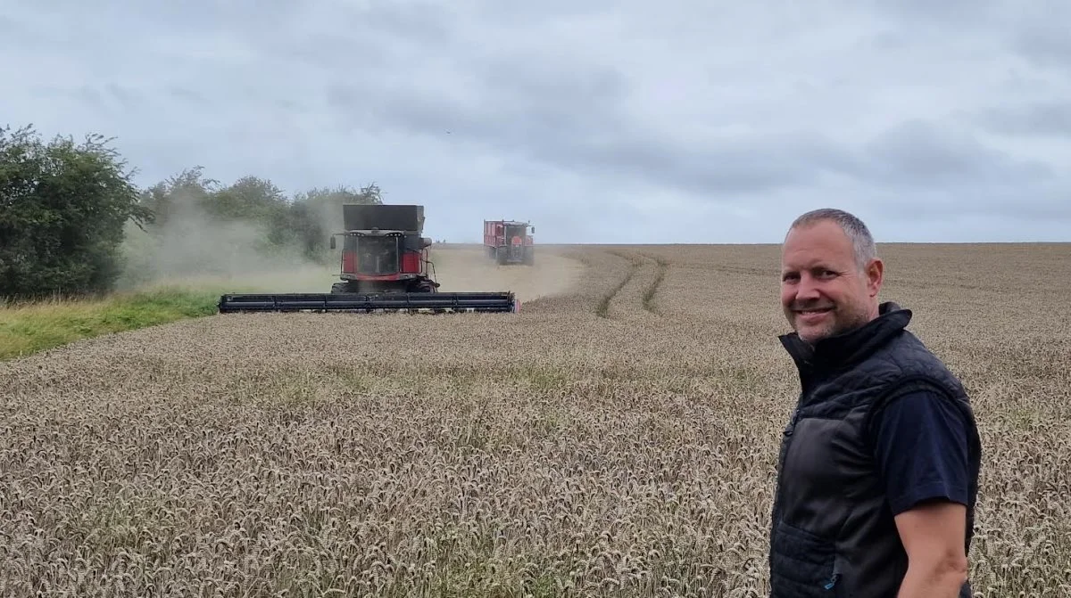 - Heldigvis ligger kun en halv hektar af vores 250 hektar hvede ned. Stormen i sidste uge har måske givet lidt spild, men ikke slået kornet ned og heller ingen spirende kerner i aksene, fortæller Jens Peter Christiansen. Fotos: Jørgen P. Jensen