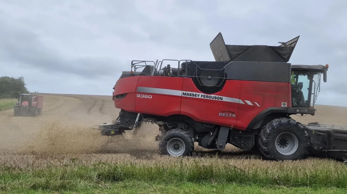 Torsdag eftermiddags var det Jens Peter Christiansens driftsleder, Jan Rasmussen, der var pilot på den 35 fods Massey Ferguson 9380-mejetærsker.