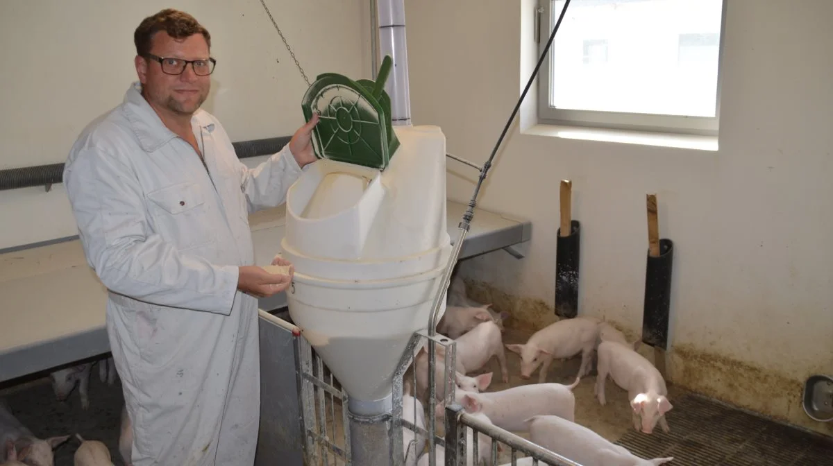 Kim Kofoed, griserådgiver i VKST og specialist i foderrådgivning, forklarer, at man uden en kornanalyse nu her efter høst kommer til at fodre i blinde.