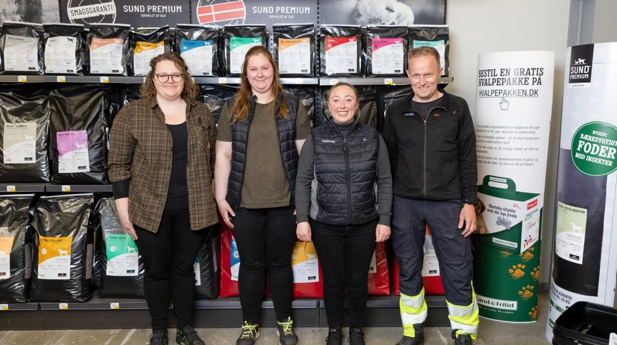 Fra venstre: Louise Juul Østerby, Amanda Laumann, Anna Gadegaard og Christian Meyer. Foto: Arkiv