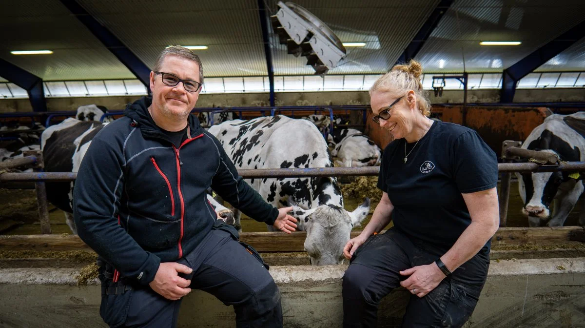 Martin og Jonna Greiff er ikke i tvivl om, at Mycofix® har fået stabiliteten tilbage i køernes fordøjelse.
