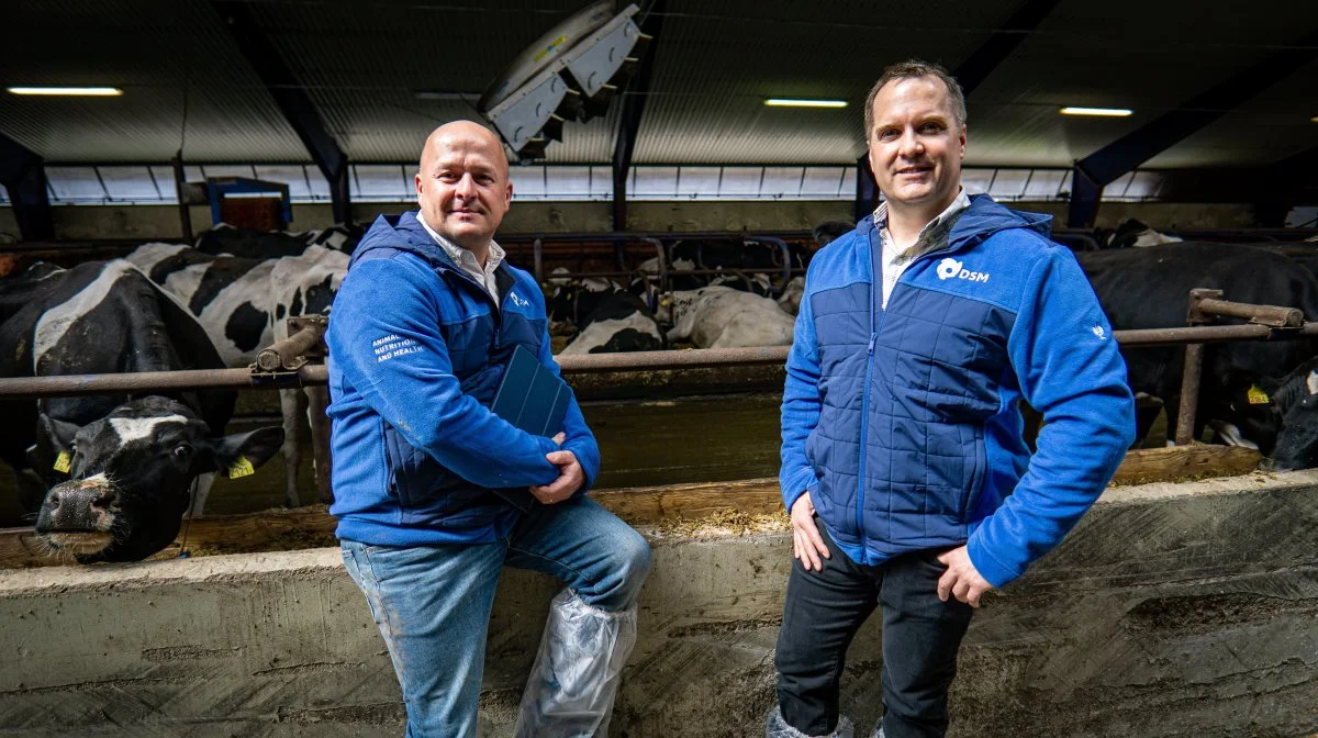 Norbert Trattner, salgschef for DSM i de nordiske lande og Dr. Tyler Turner, teknisk kvægspecialist for DSM i Nordeuropa, har samarbejdet meget med landmandsparret Martin og Jonna Greiff om at undersøge bedriftens foder for mykotoksiner. 