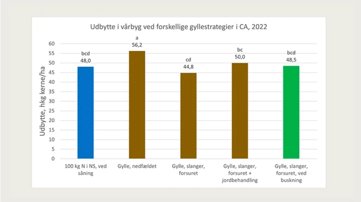 Udbytter ved forskellige gødskningsstrategier i vårbyg. Resultater uden samme bogstav over er signifikant forskellige. Kilde: Seges Innovation