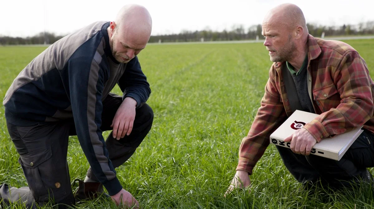 Jens Peter Hermansen, projektleder hos Innovationscenter for Økologisk Landbrug (til højre), på besøg hos den unge landmand Joachim Kjeldsen.