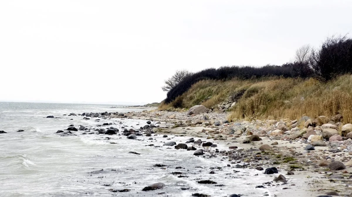 Der er fundet PFAS mange steder i Danmark, især ved kysterne. Arkivfoto: Erik Hansen