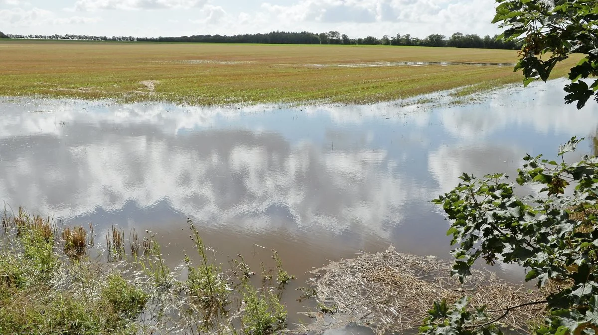 Juni bød på tørke, mens juli flere steder satte noget nær nedbørsrekord. Nu vil landmænd på Samsø udnytte nedbøren med etablering af regnvandsbassiner. Arkivfoto