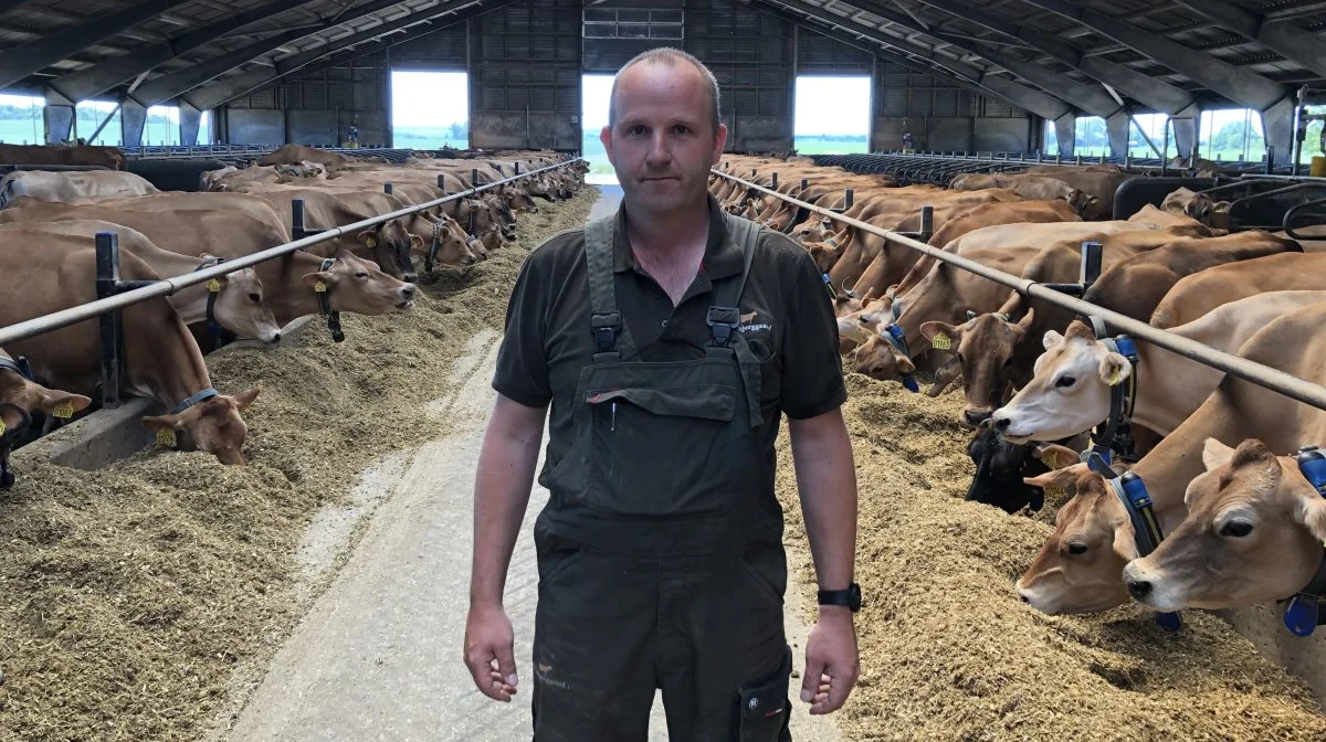 Jens Christian Sørensen har 300 jerseykøer, som tilsammen leverer ca. 2,3 mio. kg. mælk om året, som han sælger til Arla. Men Jens selv bor ca. 12 km fra gården.