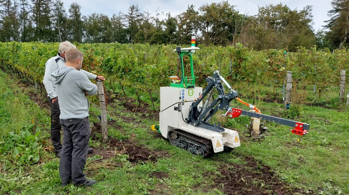 Hos Guldbæk Vingård ser man stort potentiale i robotter - på sigt.