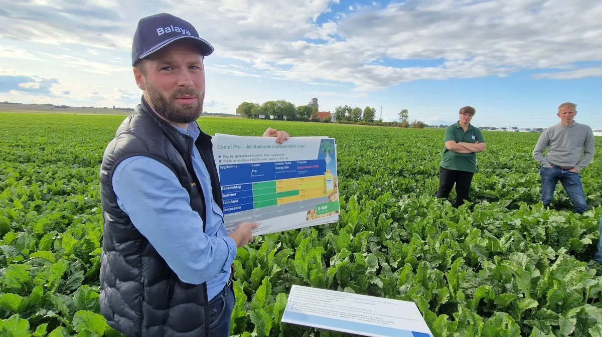 - Comet Pro kan enten anvendes ved en enkelt svampesprøjtning eller doseringen splittes op i to sprøjtninger, oplyser Anders Christensen, BASF, på netop afholdte markture. Foto: Jørgen P. Jensen