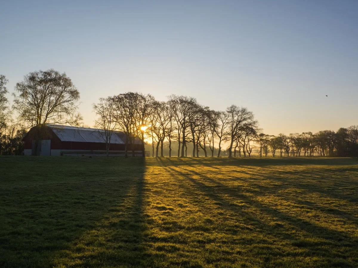 HSH Agro startede som en fælles maskinstation for Havnø Gods, Strandkærgaard og Høgholt i 2000, men blev i 2018 til et decideret driftsfællesskab. Jordene blev lagt sammen, og de dengang tre ejere ansatte en fælles driftsleder.