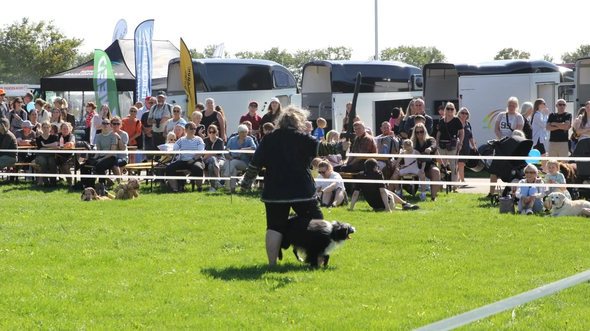 VM-sølvvinderen i Dog Dancing (hundedans), Emmy Simonsen og den dygtige border collie. Foto: Jesper Hallgren 