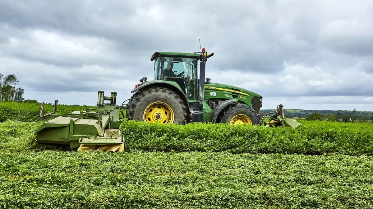 DLF overtager Alforex Seeds, som har været Cortevas dedikerede salgskanal for lucerne, samt en række tilknyttede produktbrands, særligt Hi-Gest, Hi-Ton og Hi-Salt. Fotos: DLF