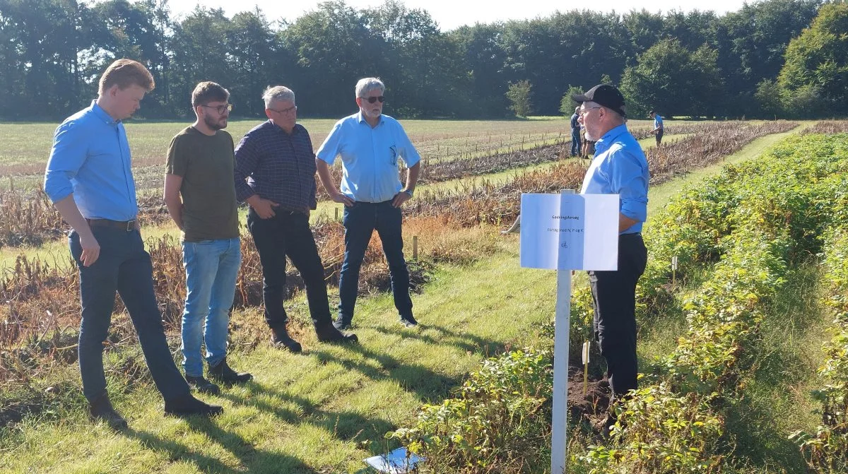 Benny Jensen, BJ-Agro, (th), i gang med sit indlæg i forsøgsmarken i forbindelse med forsøgsfremvisningen, der foregik i mindre hold. Foto: John Ankersen