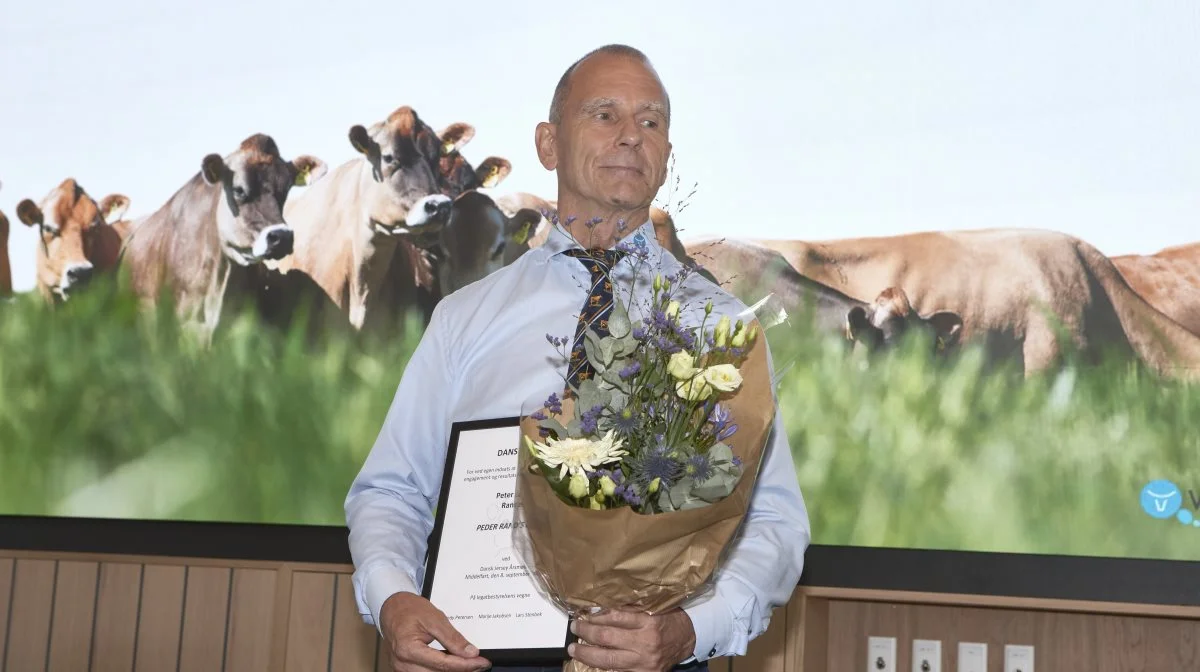 Ved jerseyårsmødet i Middelfart fik senioravlsleder Peter Larson overrakt Peder Rands legat. Fotos: Erik Hansen