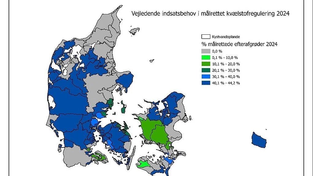 Dette kort viser den geografiske fordeling i etableringen af efterafgrøder for 2024. Kilde: Landbrugsstyrelsen