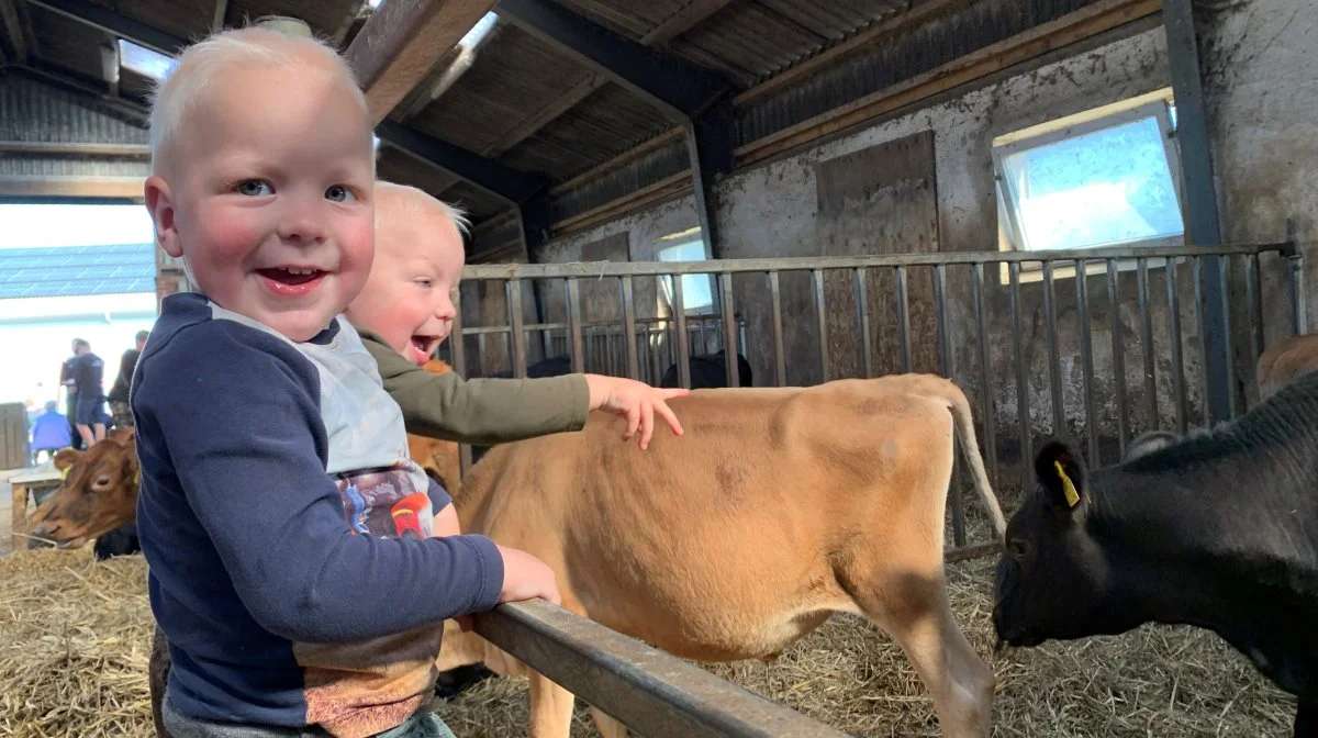 Tvillingerne Arthur (bagest) og Samuel Faurskov, der er 2 år og fra Næstved, morede sig gevaldigt sammen med deres mor, Rikke Faurskov, og storebror Mattheus. Foto: Jesper Hallgren  