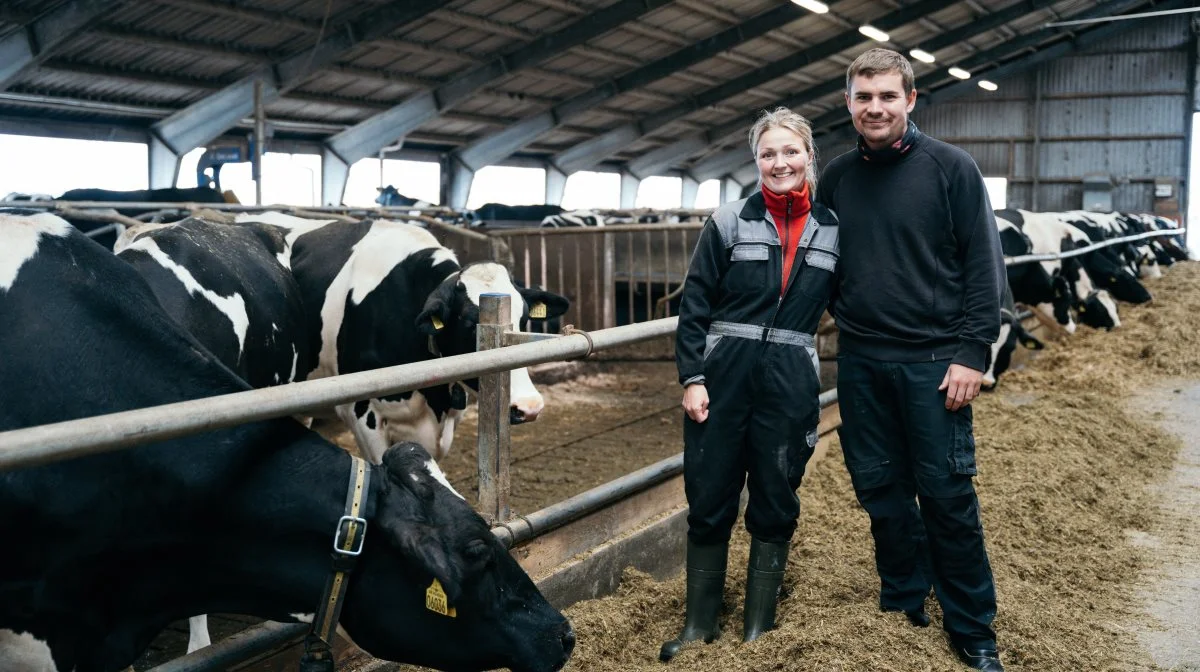 Hos Ørskov Agro kan de tydelig se på tallene, at højere selenindhold i græsset giver en sundere besætning. Fotos: Yara