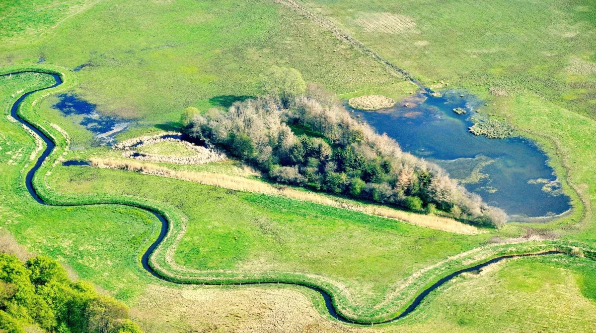 Det er kun en brøkdel af udledningen af kvælstof, der sker lokalt fra en gård til nærmiljøet, viser en ny hollandsk undersøgelse. Foto: Colourbox