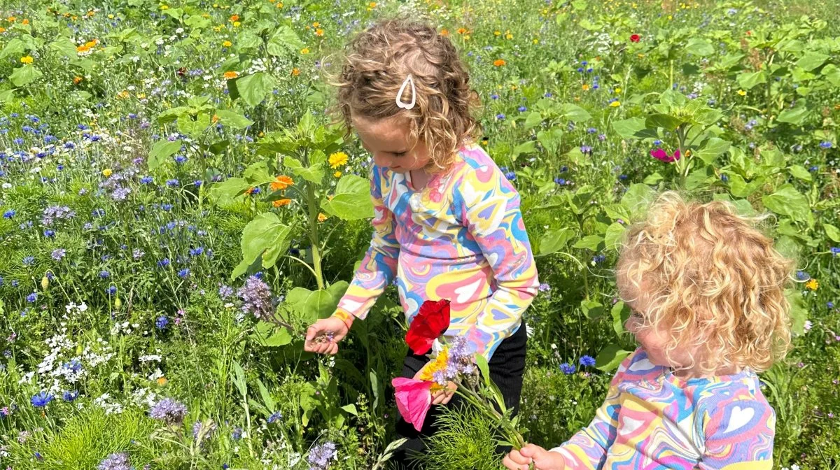 Her er det Karen-Marie og Kaspers døtre Oline og Johanne Thing Andreasen, der plukker blomster. 
