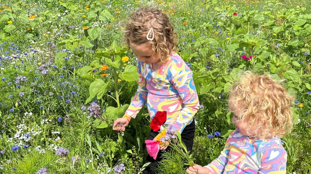 Her er det Karen-Marie og Kaspers døtre Oline og Johanne Thing Andreasen, der plukker blomster. 
