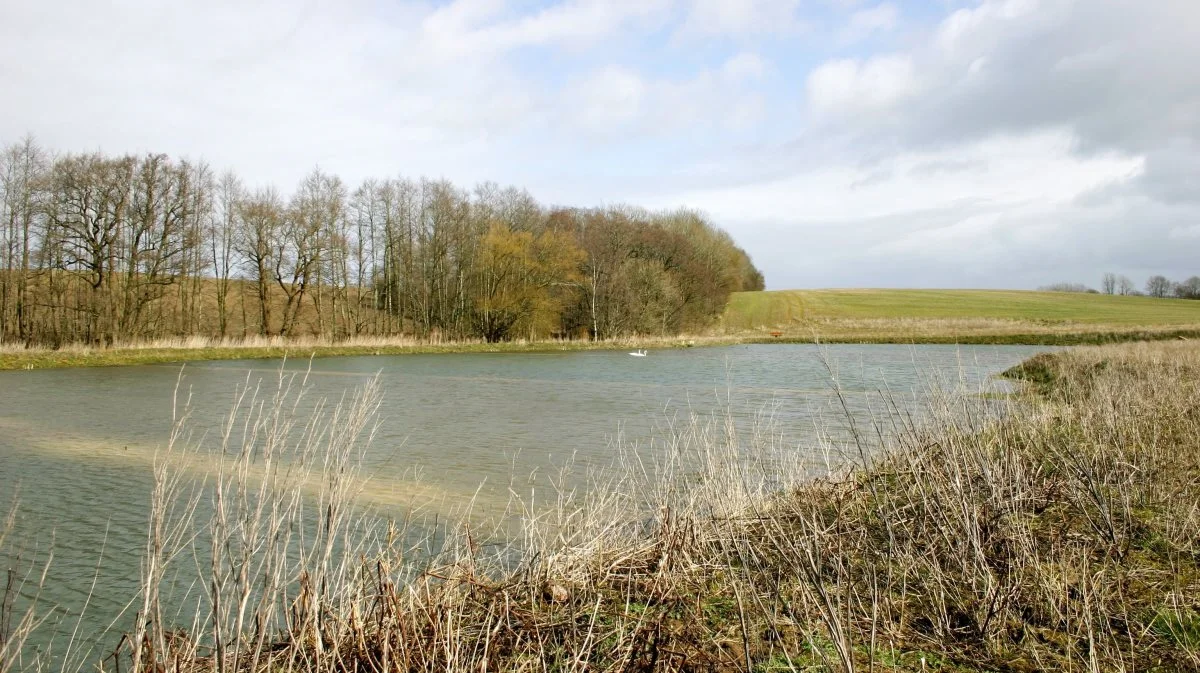 På Bornholm skal landbruget frem mod 2027 sænke udledningen af kvælstof med 400 tons. Ifølge fødevareminister Jacob Jensen (V) skal det ske ved hjælp af minivådområder. Arkivfoto