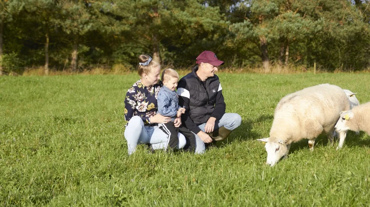 De danske avlsmål for Texel er sat i baggrunden for Clara og Walter Jakobsen. De avler efter mere ekstreme får og er ifølge dem selv godt på vej. Her ses de med Sylvester, som denne formiddag også er med ude at kigge til dyrene. Fotos: Tenna Bang 