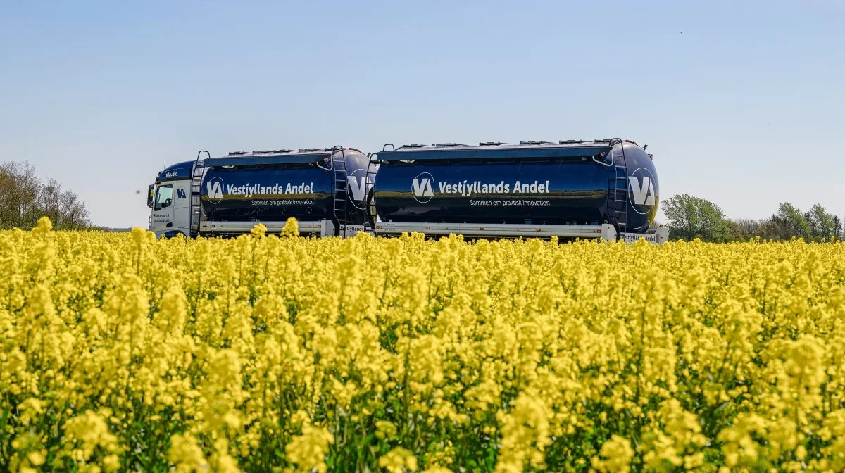 Bilerne fra Vestjyllands Andel har haft travlt det forgangne år, hvor virksomheden i et ellers svært marked har fået flere medlemmer og kunder og i dag opererer over det meste af Jylland. Pressefoto