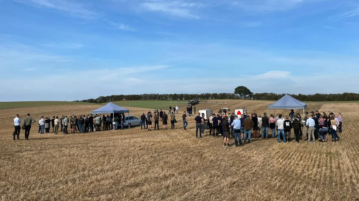 Der var 11 markdemonstrationer på IPM-dagen.