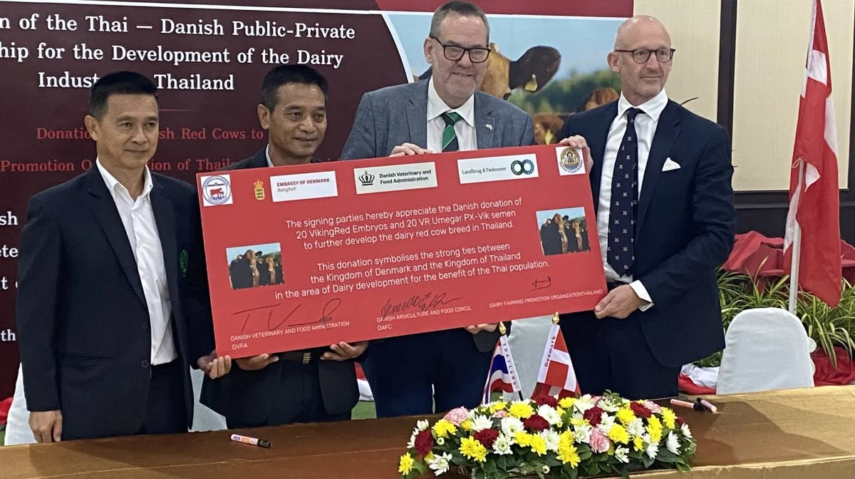 Repræsentanter fra Fødevarestyrelsen og deres thailandske pendant Department of Livestock Development, den danske ambassade i Thailand, VikingGenetics og Landbrug & Fødevarer deltog alle i den officielle overrækkelse af donationen. Foto: L&F