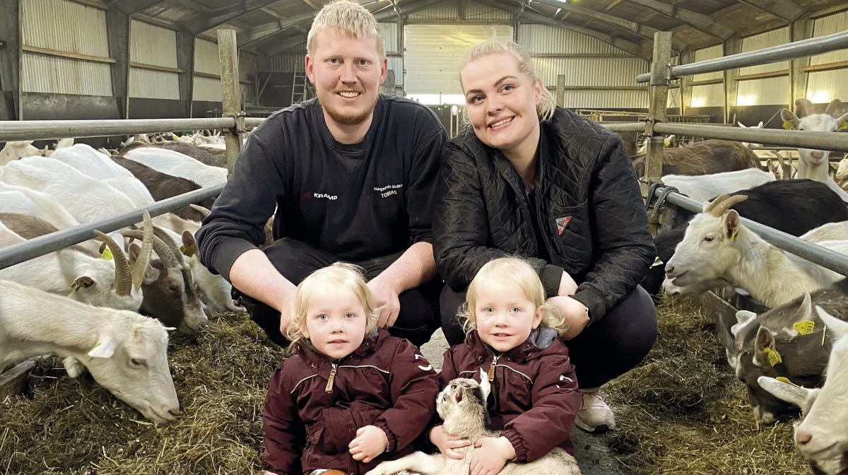 Nørgaards Geder er et rigtigt familieforetagende med næste generation på vej. Familien består af Tobias Christensen, der sammen med sin hustru Anne Maria Madsen - også kaldet Mie - driver Nørgaards Geder ved Videbæk lidt vest for Herning. Selvfølgelig med lidt hjælp fra forældre, familie og ikke mindst parrets tvillinger på 3 år. Fotos: Sagro