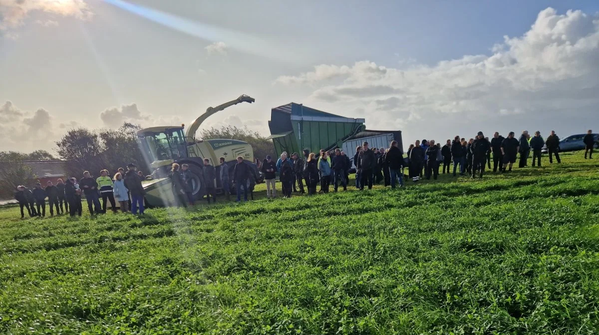 De mange interesserede deltagere ved temadagen om økologisk protein kom en tur i marken og så på høst af græsset, der bruges i produktionen. Fotos: Henning K. Andersen