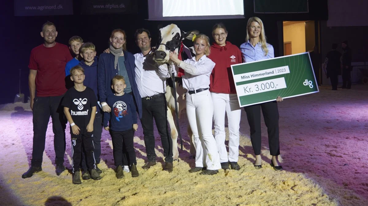 Miss Himmerland blev vundet af familien Nørgaard, Fårup. De vandt med en 6-kalvs Epic-datter, som i timerne forinden også var blevet udpeget til bedste ældre DH, bedste DH og Kimbrerkoen. Fotos: Tenna Bang